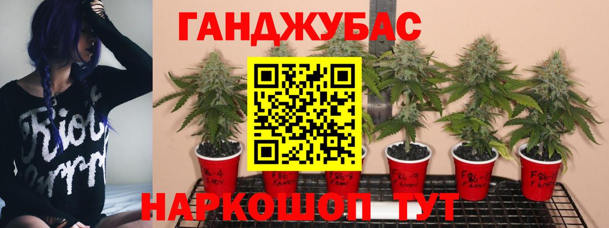 Бошки Шишки план  МАРИХУАНА LSD WEED  Вход с VPN  Тулун  Бошки Шишки ГИДРОПОН  Канабис SATIVA & INDICA 